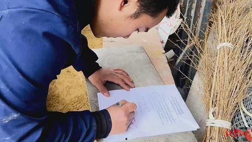 凿网红,奋斗与成长的传奇故事