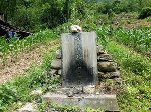 吃瓜的杨墓66,揭秘吃瓜达人杨墓66的瓜界传奇