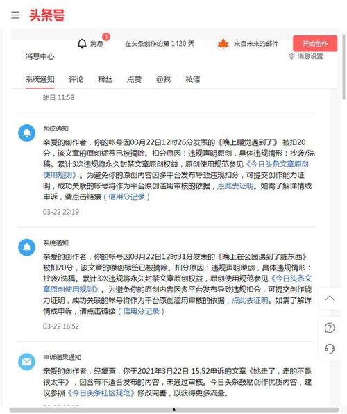 头条文章写给自己,探寻热点背后的真相与启示