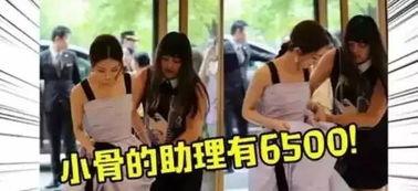 怎样才能当明星助理,必备技能与职业规划