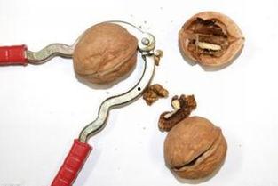 矮胖夹子吃瓜,揭秘娱乐圈幕后趣闻