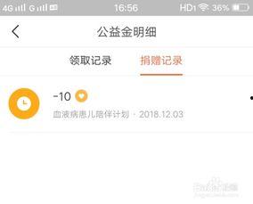 头条公益捐款了吗在哪看,查看捐款明细，助力公益行动