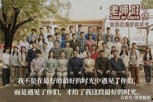 流量明星客串电影排行