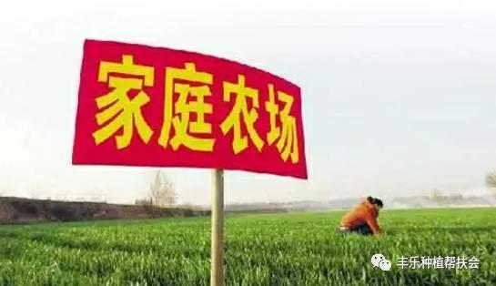 头条上咋样注册家庭农场