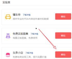 如何查看头条小店记录,头条小店记录查看指南