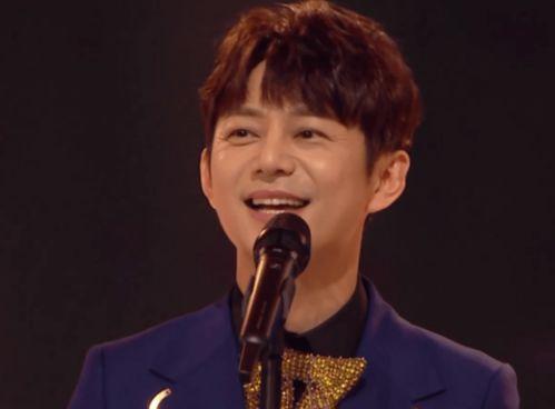 湖南老明星,岁月流转中的璀璨星光