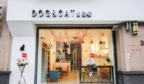 萌宠网红店,治愈系萌宠，打造你的专属萌宠乐园