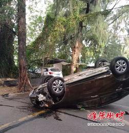 顺德车祸最新爆料