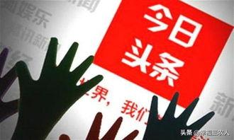 头条如何参加集训营