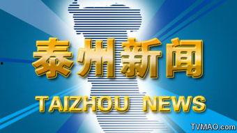 泰州后港今日新闻头条,今日头条聚焦重大新闻