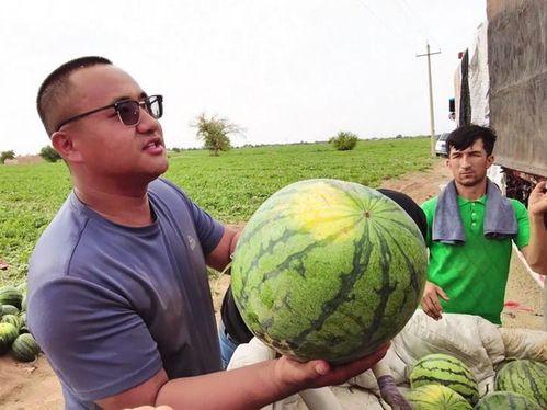 乌鲁木齐吃瓜直播,一场别开生面的美食盛宴