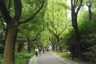 大连中山公园今日头条,探寻历史与现代交融的绿意盎然胜地