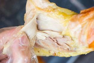 非洲网红做烧鸡,跨越国界的美食传奇