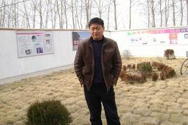 严桥乡网红,网红打卡地，魅力乡村新风尚